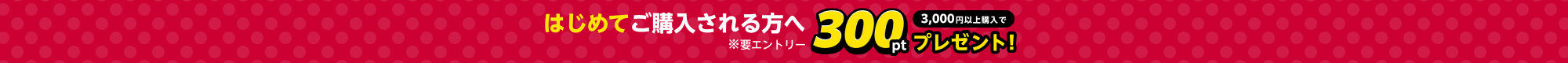 はじめてご購入される方へ300ptプレゼント