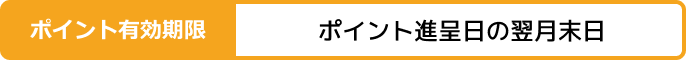ポイント有効期限：ポイント進呈日の翌月末日