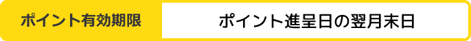 ポイント有効期限：ポイント進呈日の翌月末日