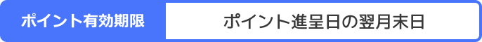 ポイント有効期限：ポイント進呈日の翌月末日