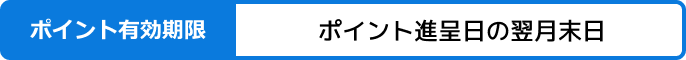 ポイント有効期限：ポイント進呈日の翌月末日