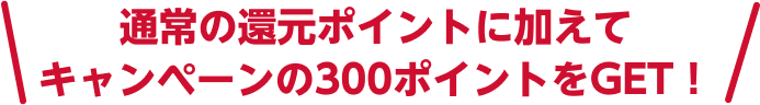 通常の還元ポイントに加えてキャンペーンの300ポイントをGET！