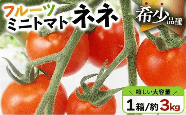北海道産　ミニトマト　ネネ　約３ｋｇ　フルーツトマト　幻の　高糖度　ジューシー　プチ　トマト　甘い　濃厚　彩り　鮮やか　希少　お中元　お歳暮　暑中見舞い　帰省土産　ご自宅用　産地直送　大滝農園　送料無料　北海道　伊達【５５２５０５２４】