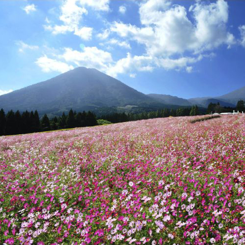 宮崎県小林市