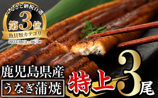 無投薬！鹿児島県産うなぎ蒲焼セット＜特上＞（計４８０ｇ以上・　約１６０ｇ以上×３尾）　タレ・山椒付き　鰻　ウナギ　国産【西日本養鰻】Ａ５０６－ｖ０１