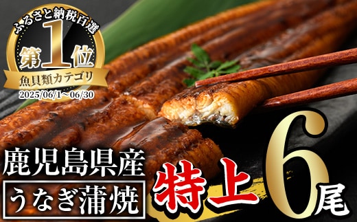 無投薬！鹿児島県産うなぎ蒲焼セット＜特上＞（計９６０ｇ以上・　１６０ｇ以上×６尾）　タレ・山椒付　　鰻　うなぎ　蒲焼　【西日本養鰻】Ｃ７－ｖ０２