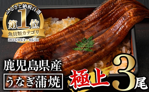 無投薬！鹿児島県産うなぎ蒲焼セット＜極上＞（計５６０ｇ以上・　１６０ｇ～２３６ｇ×３尾）　タレ・山椒付き　鰻　ウナギ　国産【西日本養鰻】Ａ５０７－ｖ０１