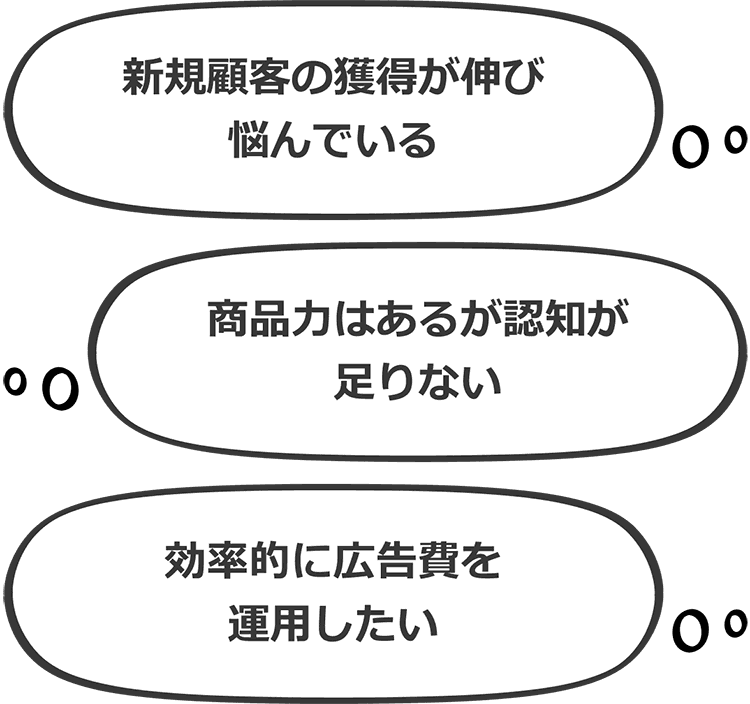 新規顧客の獲得が伸び悩んでいる 商品力はあるが認知が足りない 効率的に広告費を運用したい