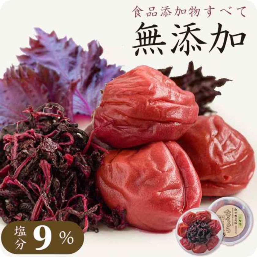 紀州南高梅 なちゅら 塩分9% 食品添加物無添加 150g