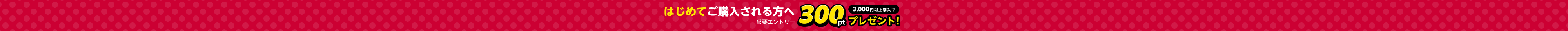 はじめてご購入される方へ300ptプレゼント